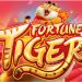Fortune Tiger